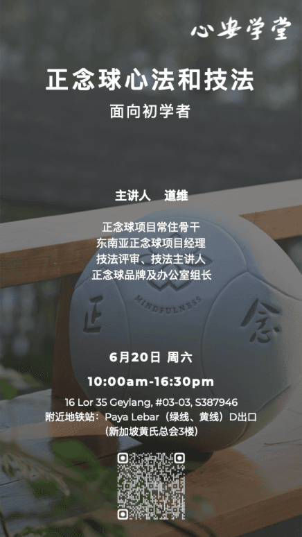 正念球心法和技法