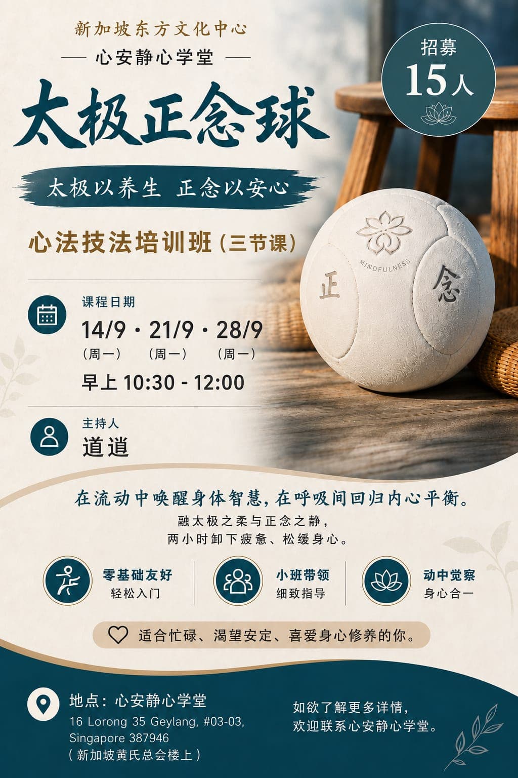 太极正念球 心法技法培训班（三节课）