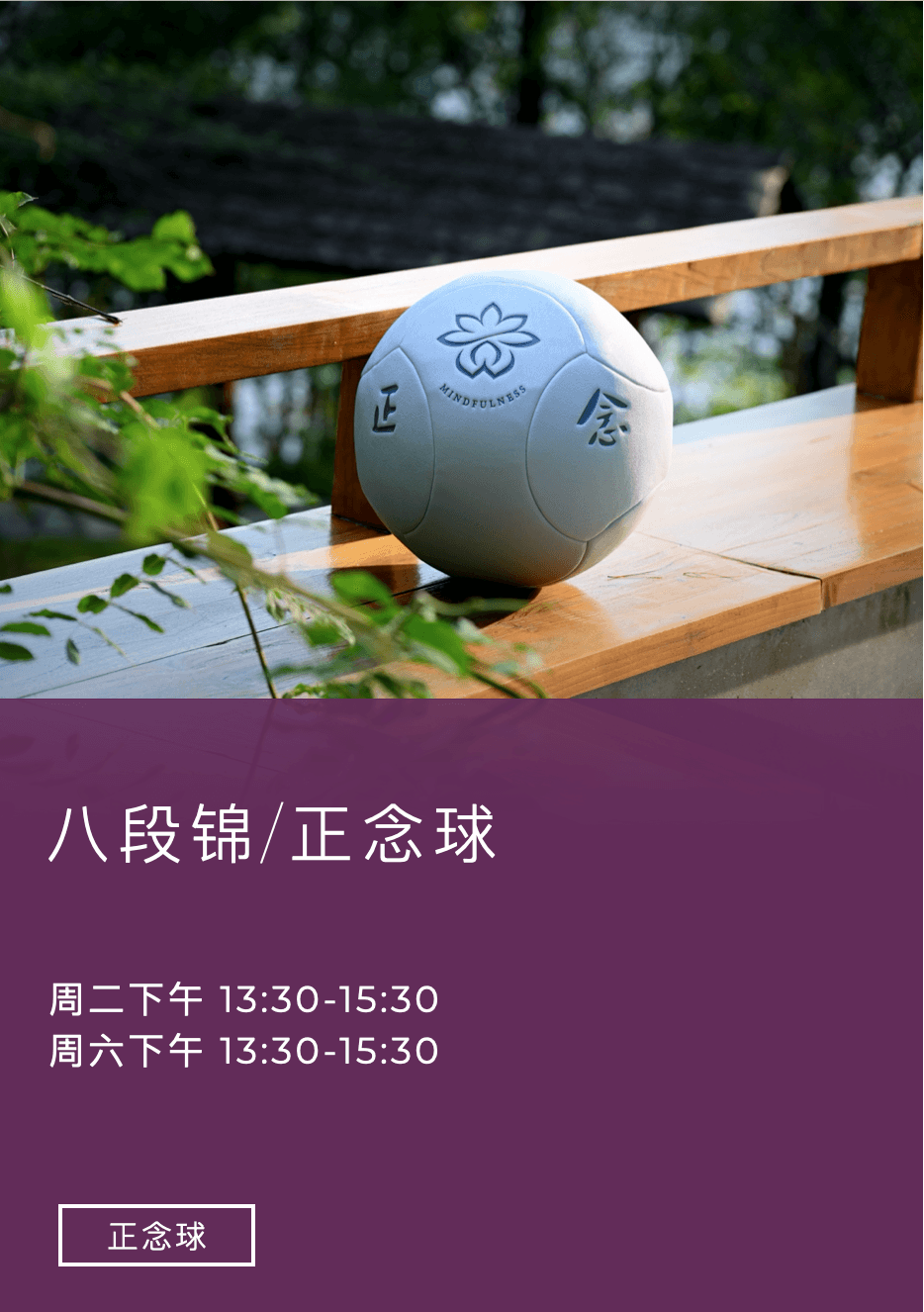 太极正念球活动